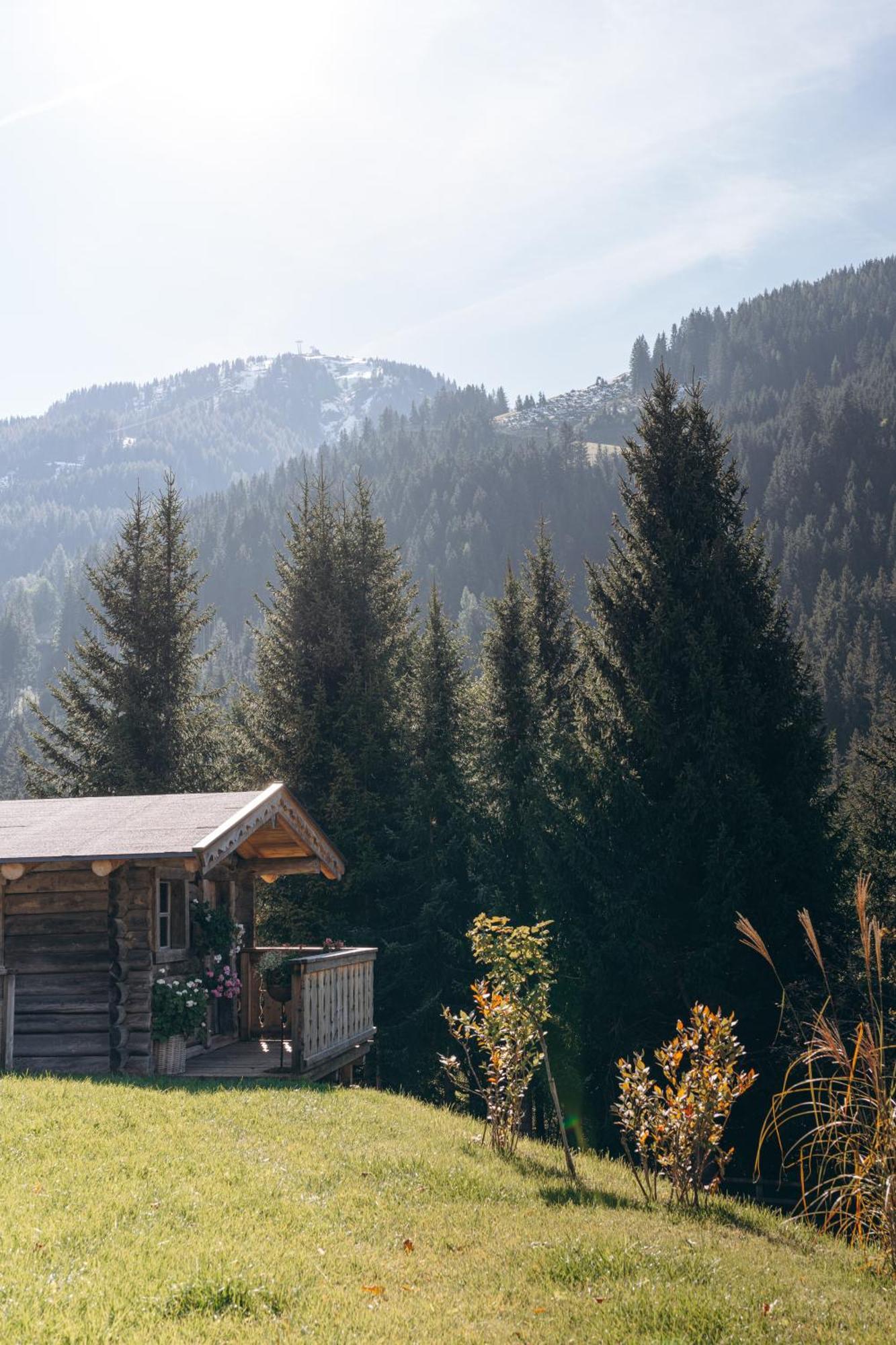 Haus Spieleck Bed & Breakfast ซาลบาคฮินเทอร์เกลมม์ ภายนอก รูปภาพ